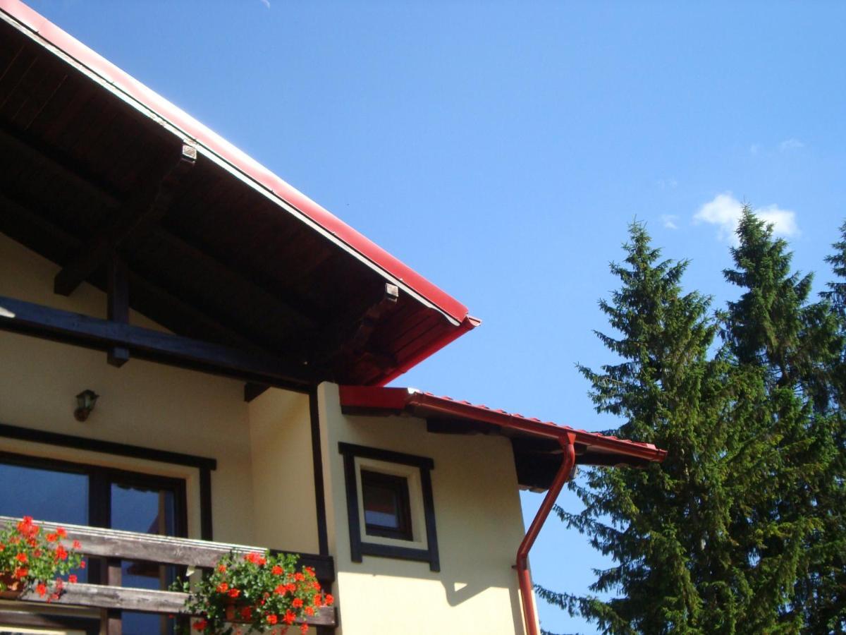 Casa Cu Flori Hotel Busteni Bagian luar foto