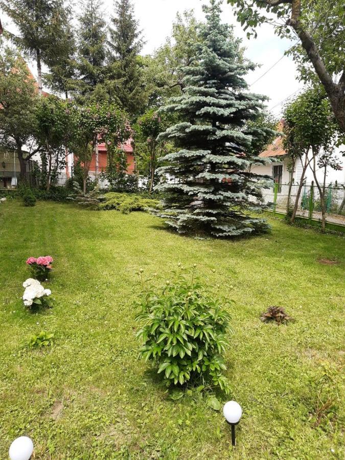 Casa Cu Flori Hotel Busteni Bagian luar foto