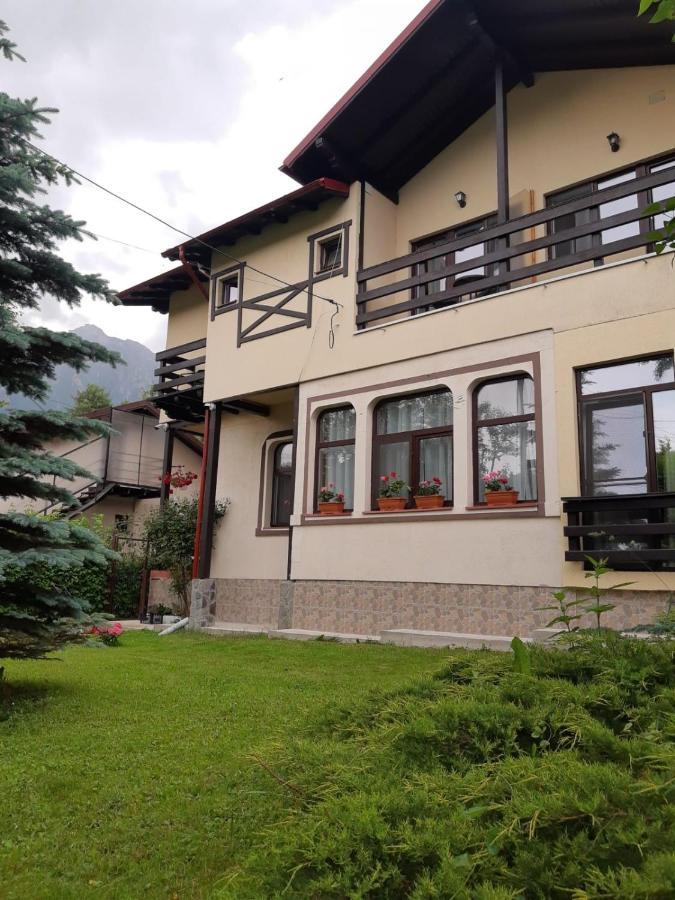 Casa Cu Flori Hotel Busteni Bagian luar foto