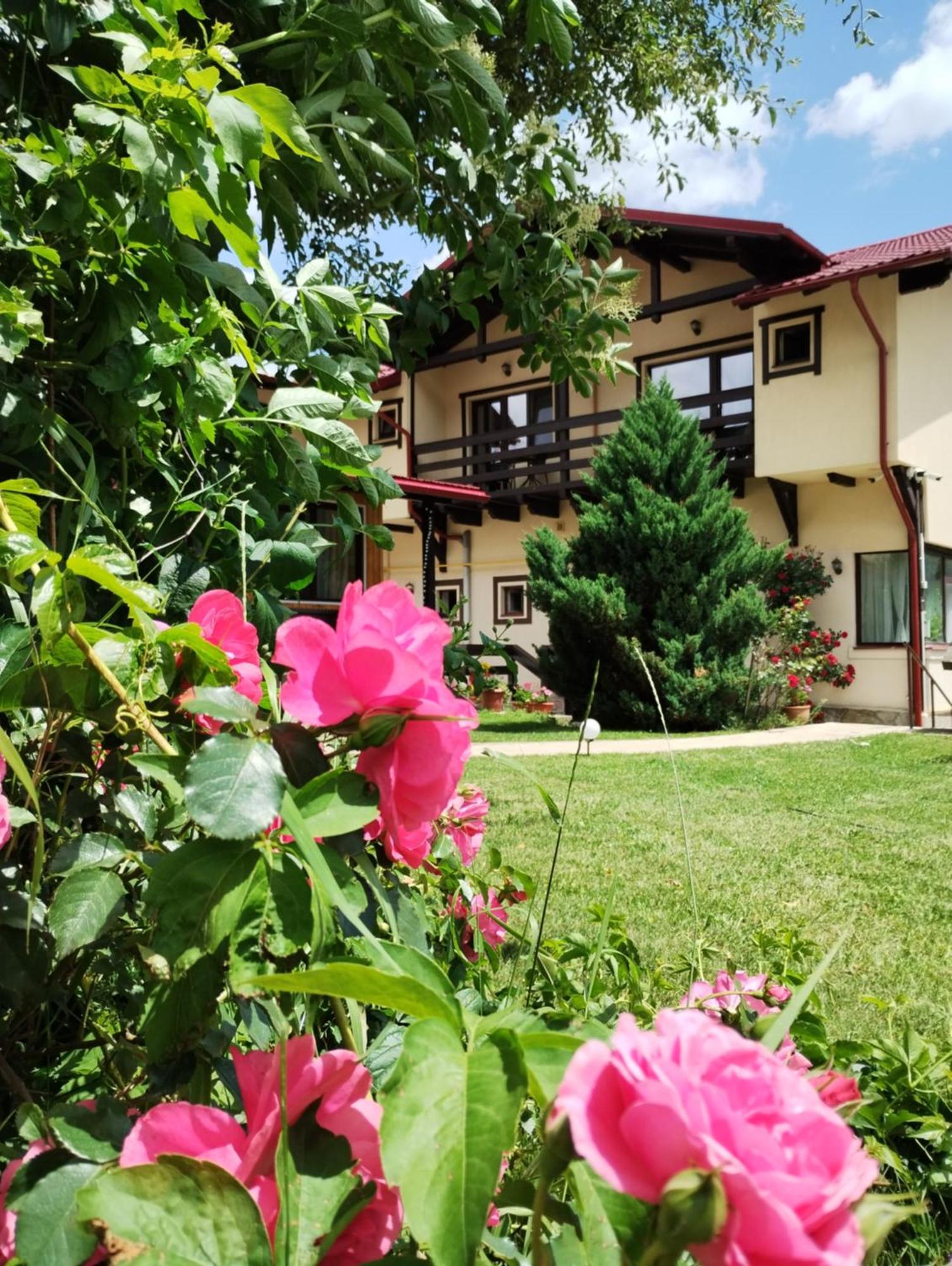 Casa Cu Flori Hotel Busteni Bagian luar foto